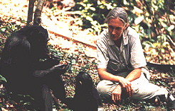 Dr. Jane Goodall